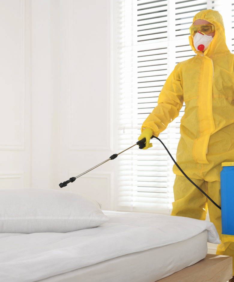 Professional Pest Control Team in Mount Crawford